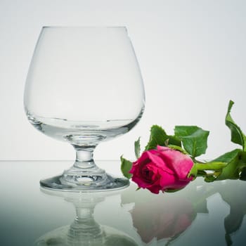 Empty Brandy glass and pink rose on glass and reflection