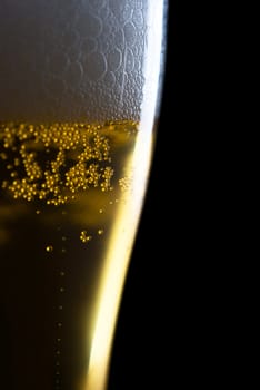 Fresh beer with froth and condensed water pearls on white  background