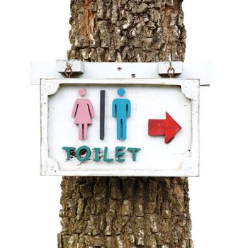 toilet sign with a tree on  white background