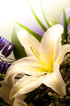flowers