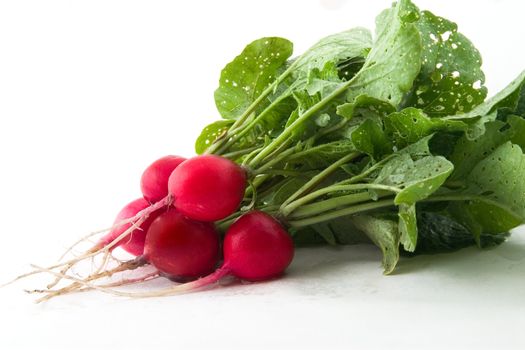 Red garden radish on a white background