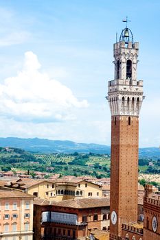 The main tower of Siena in summer day
