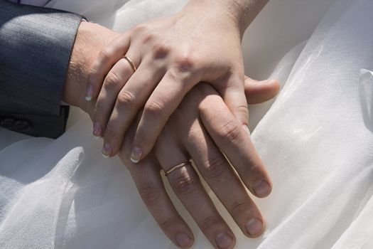 Hands newly married with wedding rings 