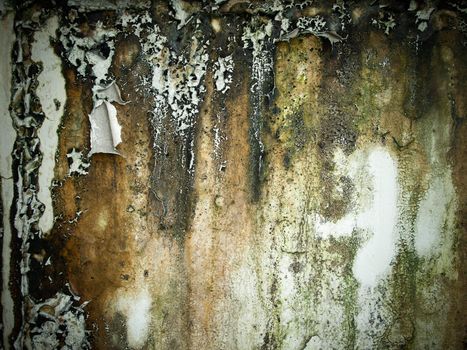 Texture of abstract Rough old wet wall background