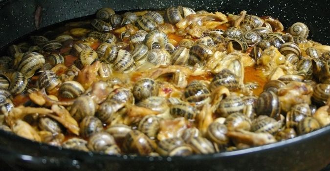 typical spanish dish caracoles (snails), paella style
