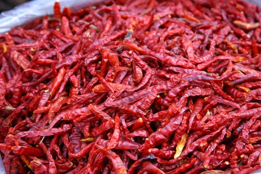 Red hot chili peppers of Thailand