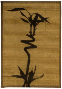 Shade of the bent bamboo trunk and leaves on a straw mat
