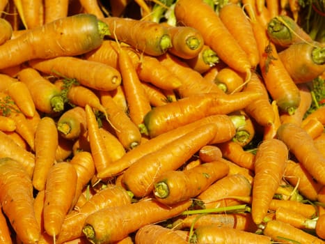 fresh carrots on a market stall