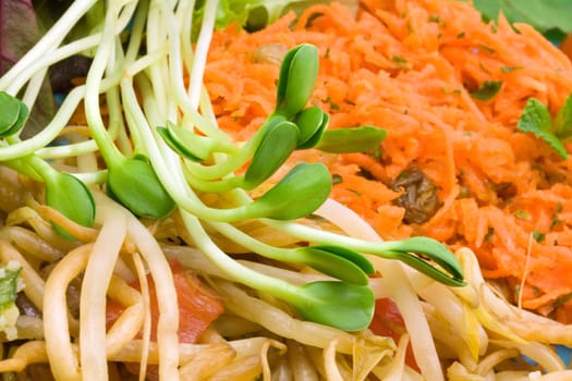 Close-up of a fresh mixed salad, with grated carrots, sunflower sprouts and beansprouts