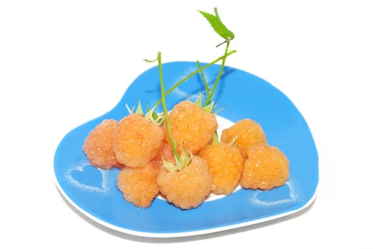Yellow raspberry on the blue plate isolated on the white.