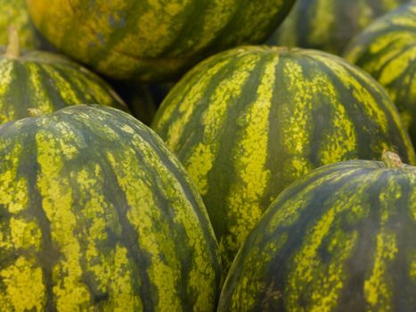 Background photo of fresh green water melons