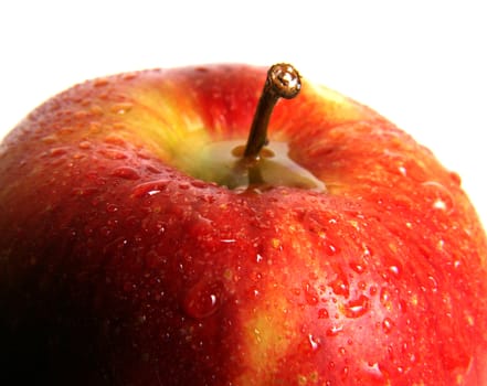 Red apple in drops close-up on a white background