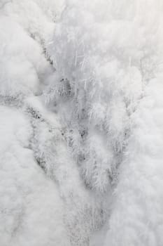 Frozen snow background texture. Closeup view photo