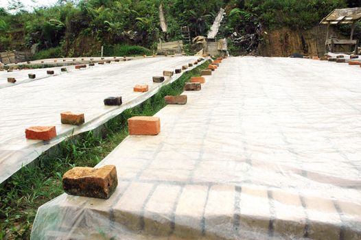 drying clay molds in the manufacturing process of bricks