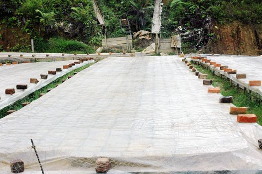 drying clay molds in the manufacturing process of bricks