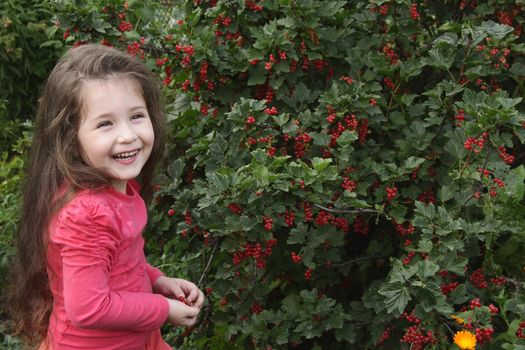 The little girl in a garden on a background of bushes of a red currant