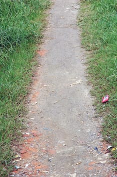 trail in the grass