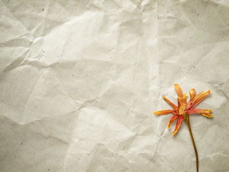 pressed dry flower on light brown crumpled paper background