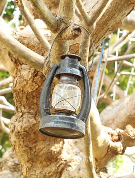 ancient lamp with the tree