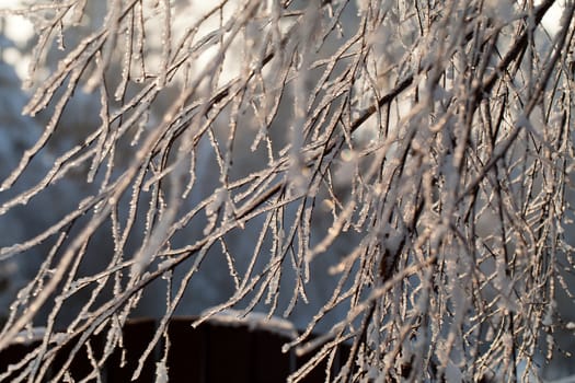 the winter-impression into the frosty afternoon