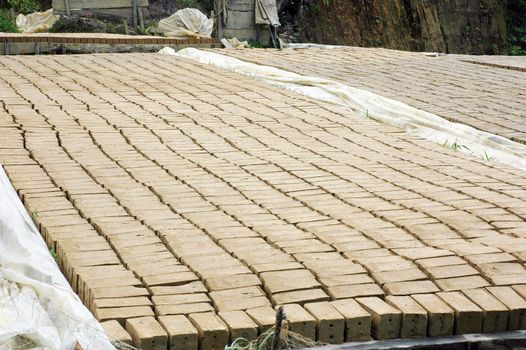 drying clay molds in the manufacturing process of bricks