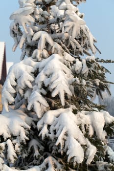 the winter-impression into the frosty afternoon