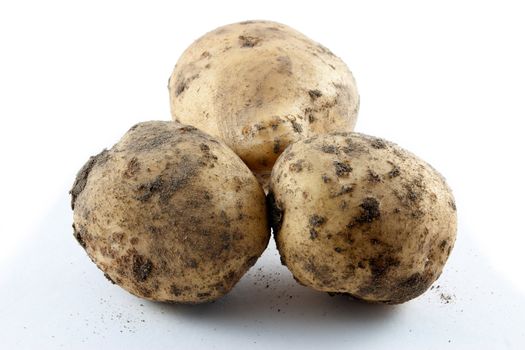 Potato with dirt still on it, on a white background with little bits of dirt on the ground around it.