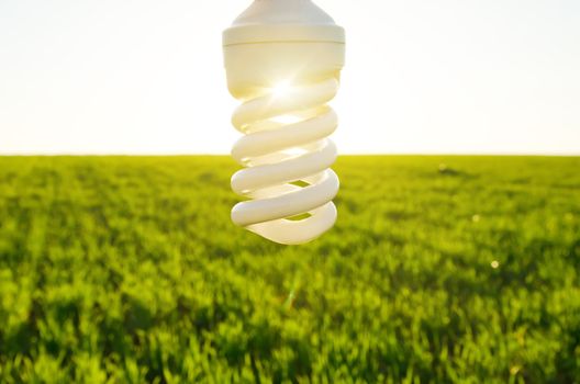 sunrays through energy saving lamp over field