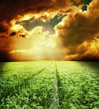 green field with road under dramatic sky