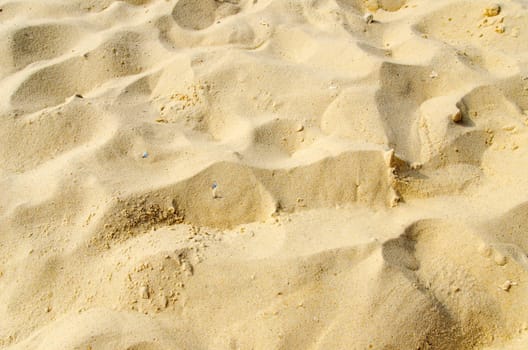 sand closeup as texture
