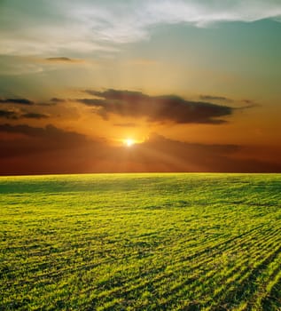 green field and sunset