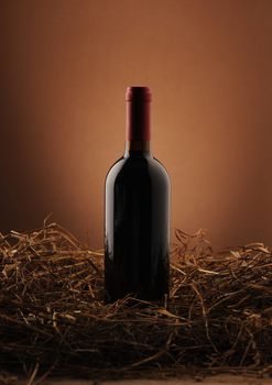 wine bottle on a dark background