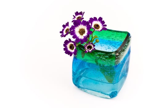 Flowers in blue glass vase isolated on white