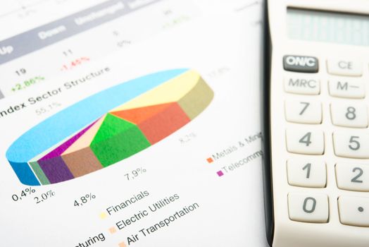 Company year report with graphs and calculator