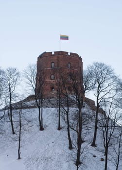 Witer shot of Tower of Gediminas, Vilnius, Lithuania