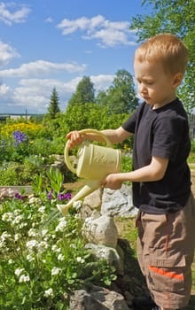 Serious boy waters flowers in the summer in a garden