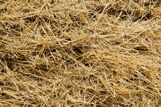 straw closeup as background