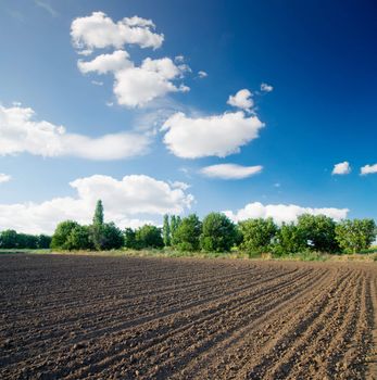 ploughed field