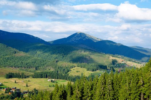 Beautiful green mountain landscape with trees in Carpathians