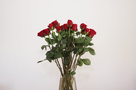 bouquet of red roses in a vase on white background