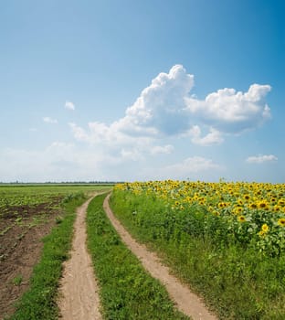 Road in field under clouds