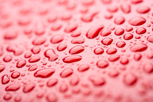 Crystal clear water drops over red background