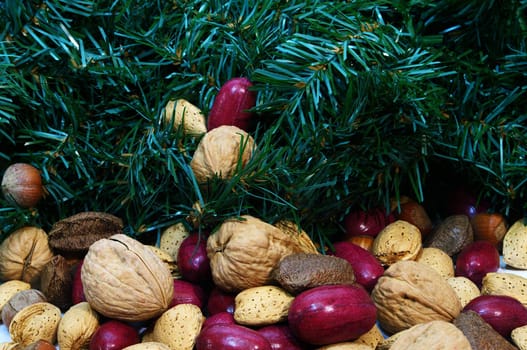 Christmas mixed nuts containing walnuts, pecans, brazil nuts, filbert, hazelnut