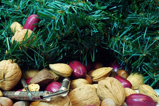 Christmas mixed nuts containing walnuts, pecans, brazil nuts, filbert, hazelnuts