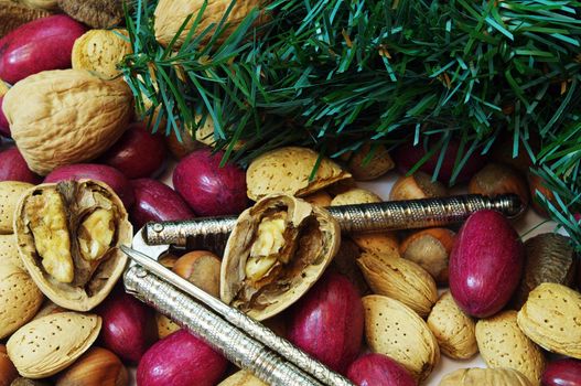 Christmas mixed nuts containing walnuts, pecans, brazil nuts, filbert, hazelnuts