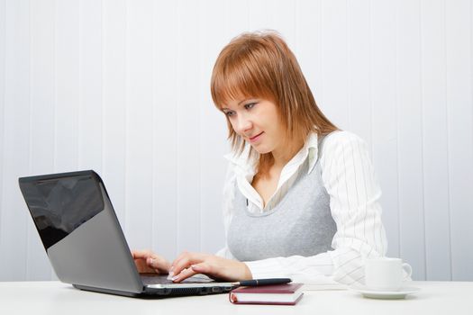 girl in office looking at laptop. Office