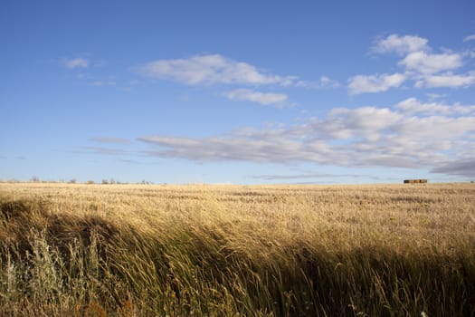 View of Spanish countryside in the summer