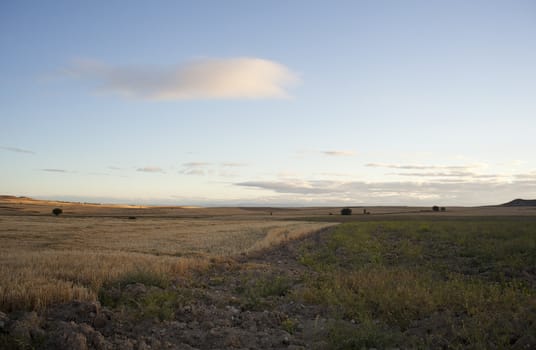 View of Spanish countryside in the summer