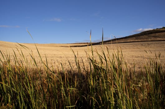 View of Spanish countryside in the summer