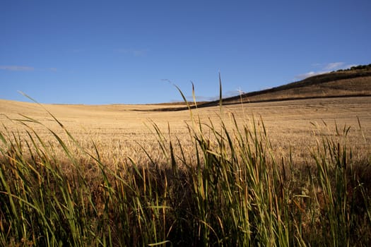 View of Spanish countryside in the summer